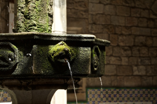 Fountain at the Archdeacon's house, Gothic Cathedral